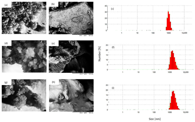 Topography and particle size of (a–c)—HS filler, (d–f)—HS/SO filler and (g–i)—HS/TO filler.