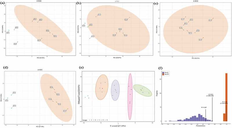 The principal component analysis (PCA) between control A and treatment B (Figure 1a), C (Figure 1b), D (Figure 1c), E (Figure 1d), and the orthogonal partial least square discriminant analysis (OPLS-DA) score (Figure 1e) and model verification (Figure f). The abscissa represents the model accuracy and the ordinate represents the frequency of model classification effect. The prediction parameters R2X and R2Y represent the interpretation rate of X and Y matrix, and Q2 represents the prediction ability of the model. When Q2 > 0.5 means effective model, and when Q2 > 0.9 represents excellent model.