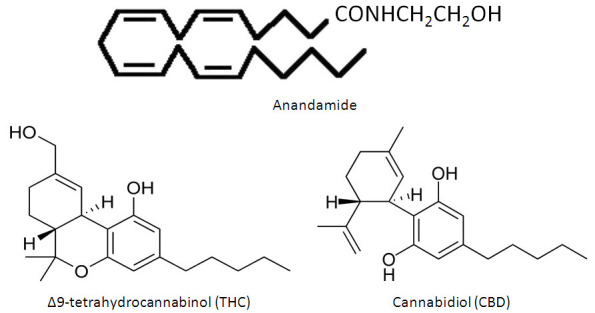 Chemical Structures of Anandamide, Δ9-Tetrahydrocannabinol, and Cannabidiol.