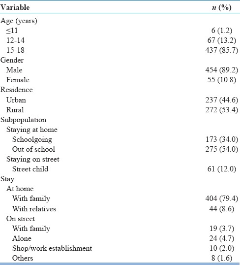 Sociodemographic profile of children with injection drug use (n=509)