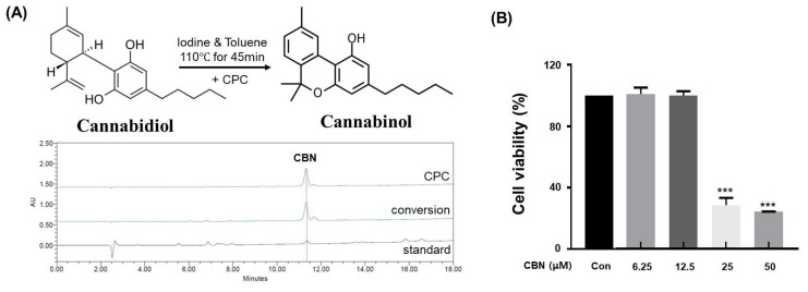 Analysis of CBN conversion and purification, and its subsequent cytotoxicity in B16F10 cells. (A) High-performance liquid chromatography (HPLC) chromatograms of standard CBN, the CBN conversion product from cannabidiol (CBD), and the final purified CBN. The top chromatogram shows the high purity of the CBN obtained via centrifugal partition chromatography (CPC). The middle chromatogram displays the raw conversion product, while the bottom chromatogram of the standard CBN confirms the identity of the compound. (B) Cytotoxicity of CBN on B16F10 melanoma cells. The cells were treated with various concentrations of CBN for 48 h, and cell viability was measured using a CCK-8 assay. The graph demonstrates that CBN exhibited no significant cytotoxicity up to a concentration of 12.5 μM. Results are presented as the relative percentage of the untreated control group and expressed as the mean ± standard deviation (n = 3 per group). *** p < 0.001.