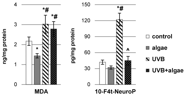 The impact of Nannochloropsis oceanica microalgae extract on the levels of lipid peroxidation products, including malondialdehyde (MDA) and 10(RS)-10-F4t-neuroprostane (10-F4t-NeuroP), in various keratinocyte groups: control (n = 5); cultured with algae extract for 24 h (n = 5); irradiated with UVB (60 mJ/cm2) (n = 5); and irradiated with UVB (60 mJ/cm2) and subsequently cultured with algae extract for 24 h (n = 5). Mean values ± standard deviation (SD) and statistically significant differences for p < 0.05 are indicated as follows: *—vs. control group; #—vs. algae group; and ^—vs. UVB group.