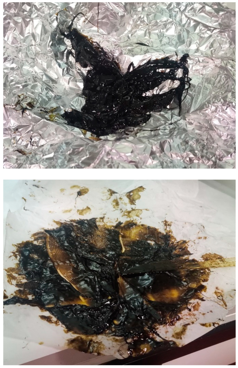 A sticky hashish sample with a THC concentration greater than 60%.
