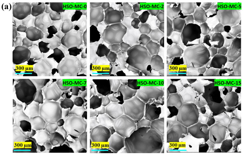 SEM images of HSO-based RPUF composite with (a) microcrystalline cellulose filler and (b) MC-encapsulated melamine flame retardant.