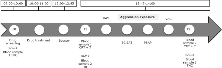 Schematic representation of an experimental session. BAC blood alcohol concentration, THC tetrahydrocannabinol, CRT cortisol, T testosterone, VAS Visual analogue scale, SC-IAT single category implicit association test, PSAP point-subtraction aggression paradigm