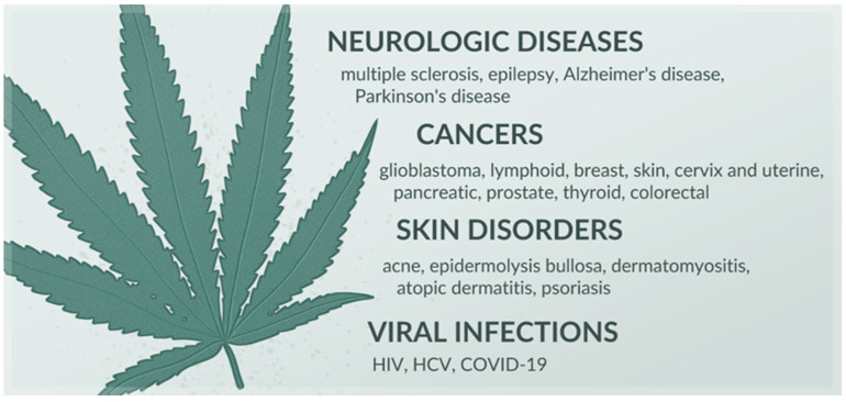 Diseases in which cannabinoids exhibit therapeutic potential, based on [8,9].