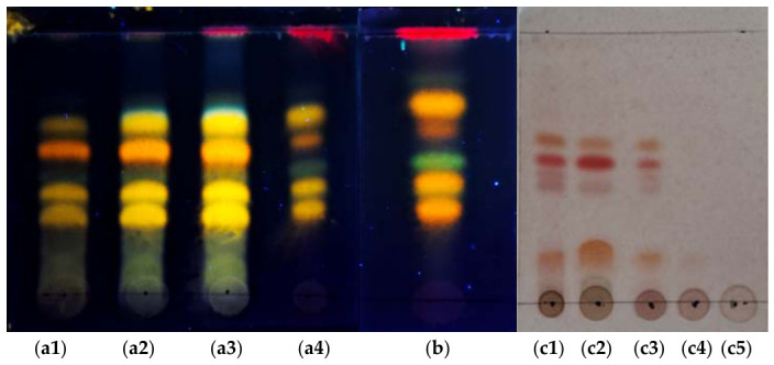 Phytochemical profile of Cannabis sativa extracts analyzed by TLC. (a1–a4,b) Extracts developed with Neu (NP/PEG) reagent and visualized under UV light at 365 nm: (a1) UAE, distilled water; (a2) UAE, 40% ethanol; (a3) UAE, 60% ethanol; (a4) UAE, 96% ethanol. (b) Conventional maceration, 96% ethanol. (c1–c5) Extracts revealed with Fast Blue BB: (c1) Conventional maceration, 96% ethanol; (c2) UAE, 96% ethanol; (c3) UAE, 60% ethanol; (c4) UAE, 40% ethanol; (c5) UAE, distilled water.