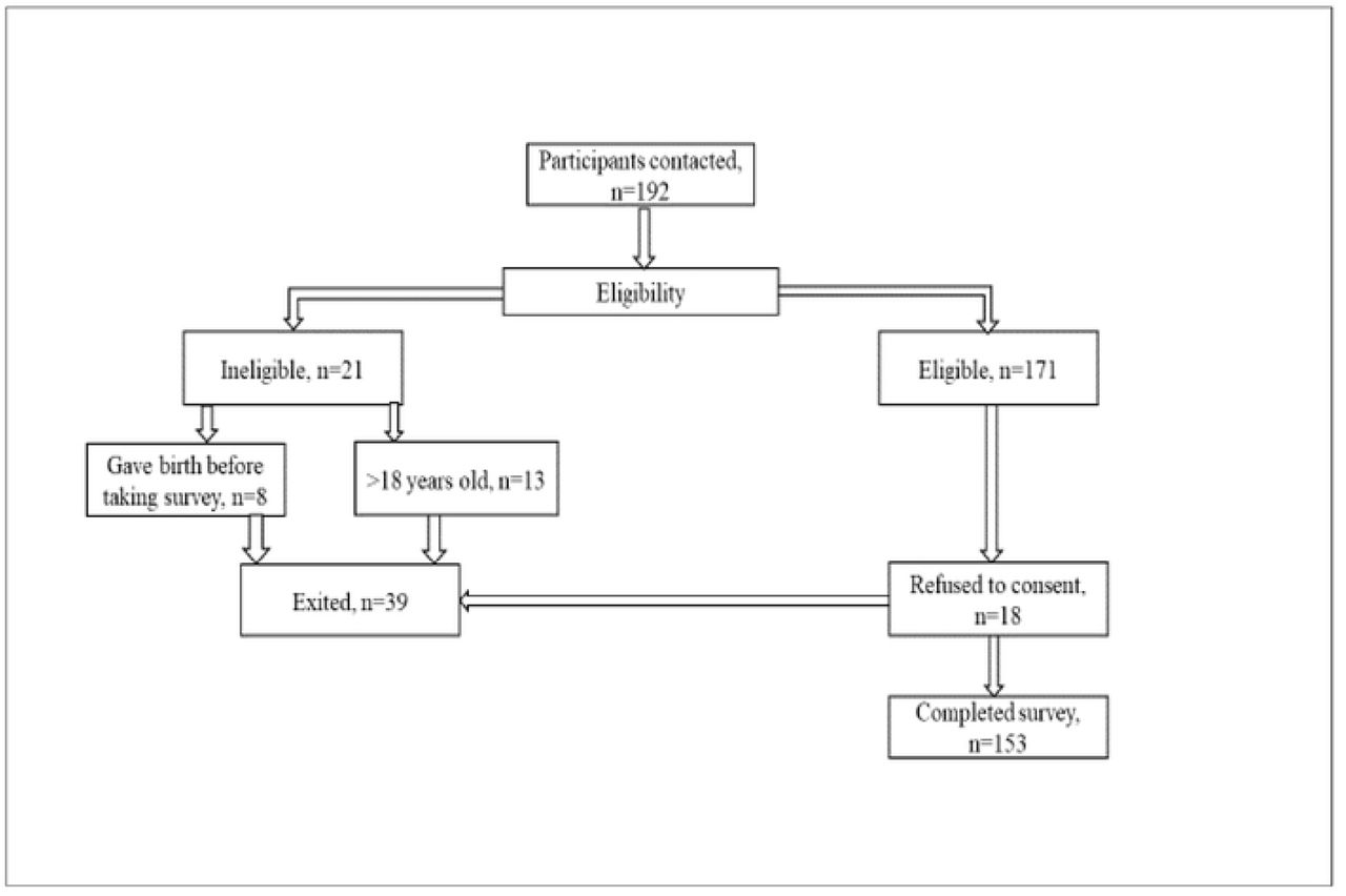 Recruitment Flow Chart