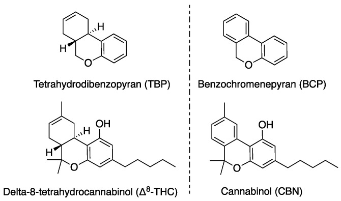 Δ8-THC and CBN cannabinoids isolated from marijuana (Cannabis indica) and hemp (Cannabis sativa) plants possessing TBP or BCP motifs.
