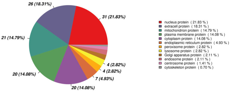 The subcellular localization of the differentially expressed proteins.