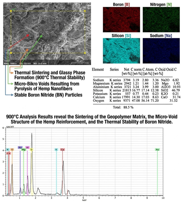 EDS image of the BN-modified hemp nanofiber reinforced sample subjected to 900 °C heat treatment.