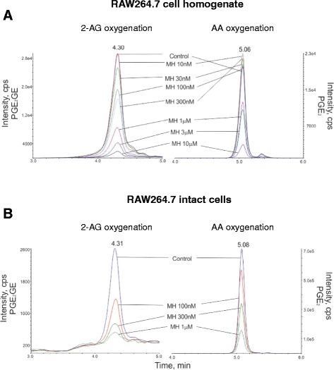 MS chromatograms of PGE2 and PGE2-GE measured in different biological matrices. Quantification of PGE2 and PGE2-GE formation measured after incubation of (A) RAW264.7 cell homogenate and (B) intact cells with 10 μM of AA or 2-AG in the presence of different concentrations of MH or vehicle. Homogenates and cells were treated for 12 h with LPS (1 mg mL−1) followed by 30-min incubation with 10 μM of 2-AG after the pre-treatment (30 min) with different concentrations of MH or vehicle.