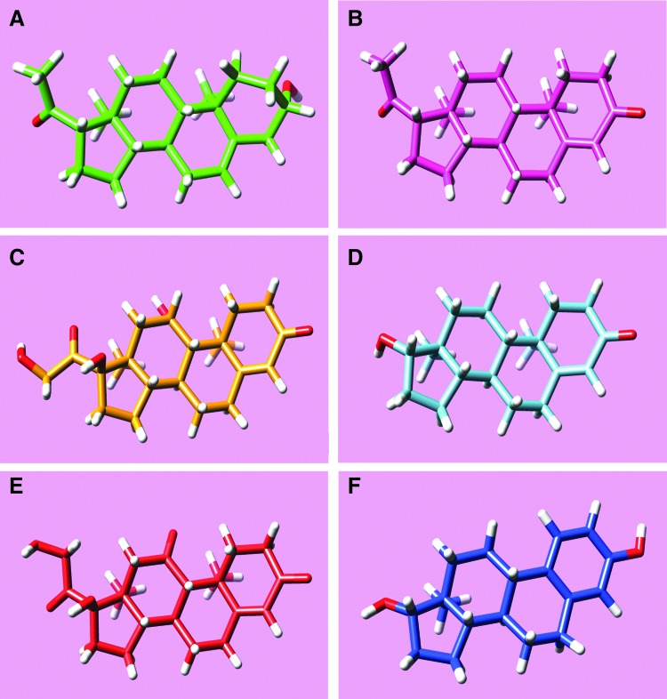 Chemical 3D structures of tested steroids added to POPC liposomes for FAAH–membrane interaction determination by FRET: (A) pregnenolone (green), (B) progesterone (pink), (C) hydrocortisone (yellow), (D) testosterone (cyan), (E) cortisone (red), and (F) estradiol (blu). 3D, three-dimensional; FAAH, fatty acid amide hydrolase; FRET, fluorescence resonance energy transfer; POPC, 1-palmitoyl-2-oleoyl-sn-glycero-3-phosphocholine.
