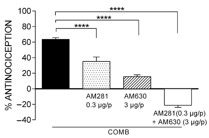 The effect of the CB1 and CB2 receptor antagonists on the synergism induced by the combination of IBU (39.54 mg/kg, s.c.) and WIN (2.74 µg/p, i.pl.). Statistical significance is indicated between the COMB group and groups receiving the individual antagonists or their combination (**** p < 0.0001). Data are expressed as the mean ± SEM of six repetitions.