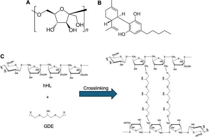 Chemical structures of (A) linear levan with beta-2,6 glycosidic linkages and (B) cannabidiol (CBD). (C) Chemical pathway for the crosslinking of hydrolyzed Halomonas levan (hHL) with glycerol diglycidyl ether (GDE).