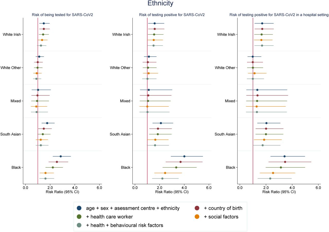 Risk ratios for associations between ethnicity (White British as reference category) and SARS-CoV-2Model 1: Age, sex and assessment centreModel 2: Model 1 + country of birthModel 3: Model 2 + healthcare workerModel 4: Model 3 + social variables (urbanicity, number of people per household, highest education level, deprivation, tenure status, employment status, manual work)Model 5: Model 4 + health status variables (self-rated health, number of chronic conditions and limiting longstanding illness) + behavioural risk factors (smoking, alcohol consumption and BMI)