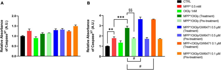Levels of Caspase 3/7 activity in (A) not differentiated and (B) differentiated SH-SY5Y cells determined by using the ApoTox-Glo triplex assay. Histograms represent the percentage, with respect to control cells (CTRL, 100%), of viable cells after the exposure to MPP+ (0.5 mM), OlGly (1 nM), and GW 6471 (0.5 and 0.1 μM) in both simultaneous treatment and pre-treatment experiments. Data are represented as mean ± SEM. *Indicates values statistically significant vs. MPP+; # indicates values statistically significant vs. MPP+/ OlGly (simultaneous treatment); + indicates values statistically significant vs. MPP+/ OlGly (pre-treatment); § indicates values statistically significant of MPP+/ OlGly (simultaneous treatment) vs. MPP+/ OlGly (pre-treatment). Student’s t-test was used for statistical analysis (N = 6). ***Indicates values statistically significant with p < 0.001; ** and §§ indicates values statistically significant with p < 0.01; # indicates values statistically significant with p < 0.05.