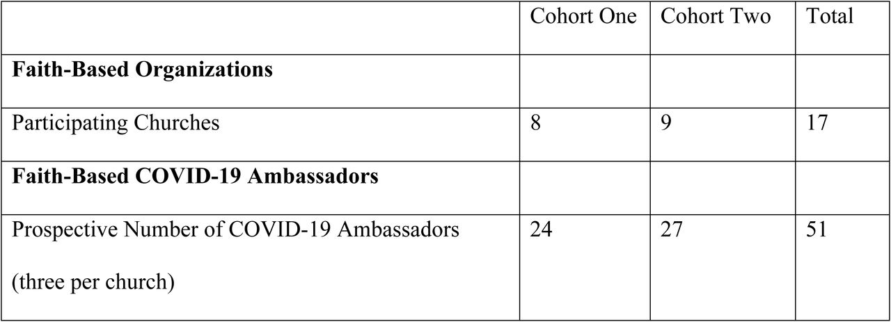 Recruitment and Completion Rates of CHAs and Participants