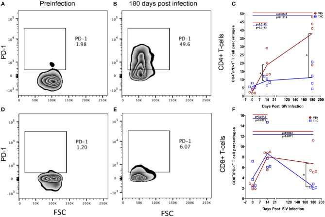 Delta-9-tetrahydrocannabinol (Δ9-THC) administration inhibited PD-1 expression in intestinal T cells after SIV infection. Zebra plot shows significantly high expression of programmed death 1 (PD-1) by intestinal CD4+ T cells in a VEH/SIV rhesus macaque at 180 days post infection compared to preinfection time point (A,B). In contrast, PD1 expression in intestinal CD4+ T cells is significantly reduced in THC/SIV rhesus macaques at 14- and 180-days post-SIV infection compared to VEH/SIV rhesus macaques (C). Zebra plot shows PD-1 expression on intestinal CD8+ T cells of a VEH/SIV rhesus macaque at 180 days post-infection (D,E). Like CD4+ T cells, the percentage of PD-1 expressing CD8+ T cells out of total CD8+ T cells was also significantly reduced in THC/SIV rhesus macaques at 180 days post-SIV infection compared to VEH/SIV rhesus macaques (F). Open red circles- VEH/SIV, Open blue squares- THC/SIV. Horizontal red and blue lines with P-values denote comparisons between time points within the VEH/SIV and THC/SIV groups, respectively. Left black brackets with an asterisk indicate statistical significance (p = 0.0143) between the VEH/SIV and THC/SIV groups for a given time point. Connecting blue and red lines (C,F) denote mean values of the respective population in the THC/SIV and VEH/SIV groups, respectively. Flow cytometry analysis to determine the effect of Δ9-THC on PD-1 expression in intestinal CD4+ and CD8+ T cells of SIV-infected rhesus macaques was performed once with four individual animals as biological replicates per group. Flow cytometry data were analyzed using linear mixed models with immune-marker outcomes being dependent variables, and treatment status (VEH vs. Δ9-THC) and days since the start of treatment (0, 14, 120, 180) being independent variables with fixed effects. Differences between two time points were analyzed using the Mann-Whitney U-test employing the Prism v5 software (GraphPad software). A p-value of ≤0.05 was considered significant.