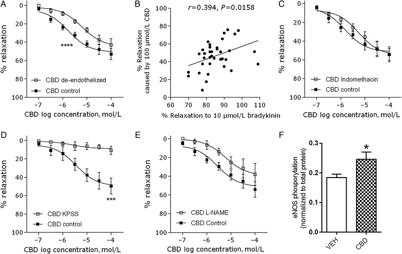 Mechanisms of CBD-induced relaxation of human mesenteric arteries. Mean (± SEM) CBD-induced vasorelaxation of human mesenteric arteries after removal of the endothelium (n = 8, A), in arteries incubated with l-NAME (300 µmol/L, n = 6, B), in the presence of the non-selective COX inhibitor indomethacin (10 µmol/L, n = 6, D) or in arteries contracted using a high potassium (KPSS) Krebs (n = 5, E). (C) Maximal responses to CBD correlated with the vasorelaxant response to the endothelium-dependent vasorelaxant bradykinin. (F) In cultured human aortic endothelial cells, CBD (10 µmol/L, 10 min) increased eNOS phosphorylation at ser1177 (n = 9). Control responses to CBD and interventions were carried out in adjacent segments of mesenteric artery from the same patient. Rmax and EC50 values were compared by paired Students t-test, *P < 0.05, **P < 0.01, ***P < 0.001, ****P < 0.0001.
