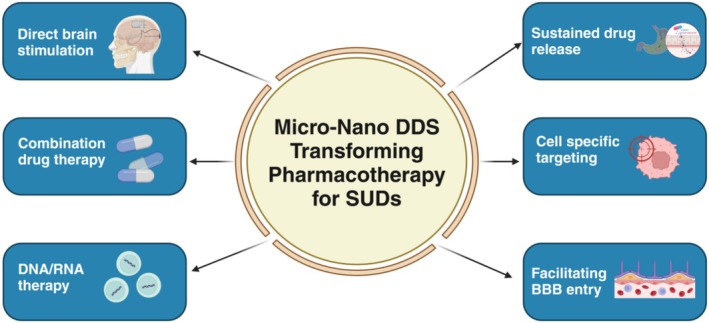 A cartoon describing various micro‐nano drug delivery systems (DDS) approaches which can significantly advance pharmacotherapy for SUDs.