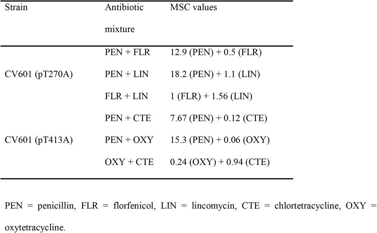MSC values (mg/L) in nutrient-rich media MHB determined for a combination of two antibiotics in mixture tests