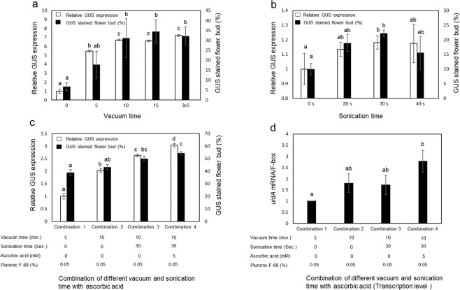 Effect of various treatments on the transient GUS expression. Effect of (a) Vacuum time; (b) Sonication time; (c) Combination of different vacuum times, sonication times and ascorbic acid concentrations. (d) Transcriptomic analysis of the combination of different vacuum times, sonication times and different concentrations of ascorbic acid. The control conditions were 5 minutes of vacuum, no sonication and no ascorbic acid to normalize the GUS gene expression. Bars indicate ±standard error of the mean. Identical letters indicate no significant difference (P < 0.05). Statistical analysis was performed using a 1-way ANOVA with Tukey’s multiple comparison test.