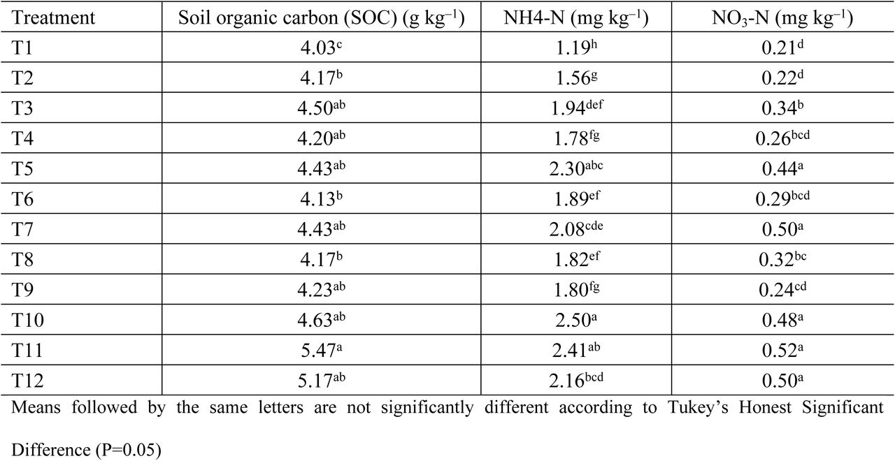 Effect of different agronomic N management practices and biochar application on chemical properties of soil (0-15cm soil layer) at the end of study (2016–2017)
