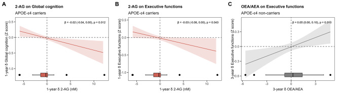 Estimated smoothness of change in eCBs or NAEs on cognitive change by APOE-ɛ4 genotype derived from GAMs. The Y-axis depicts the partial effect of 1-year change in 2-AG on 1-year change in global cognition in APOE-ɛ4 (A), 1-year change in 2-AG on 1-year change in executive functions in APOE-ɛ4 carriers (B), and 3-year change in the ratio OEA/AEA on 3-year change in executive functions in APOE-ɛ4 noncarriers. The shaded area is the standard-error confidence intervals, and δ indicates change after 1 or 3 years. Regression coefficients (β) and 95%CI were obtained from ANCOVA models for improving the interpretability of linear relationships. The p-value indicates the significance of the smooth term in the GAM.
