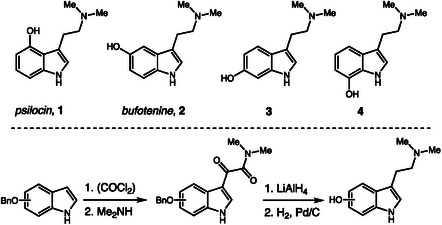 Synthesis of psilocin and bufotenine isomers.