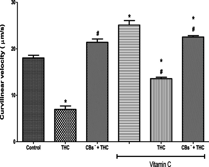 Vitamin C attenuated the tetrahydrocannabinol-induced reduction in the curvilinear velocity of rat spermatozoa. THC, tetrahydrocannabinol; CBs−, cannabinoid receptors’ blockers; *p < 0.05 vs. Control; #p < 0.05 vs. THC