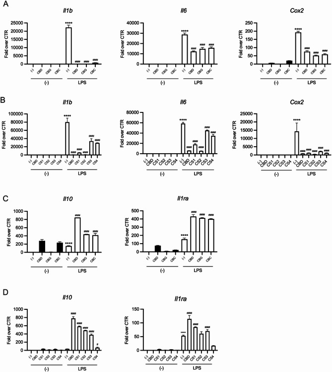 Cannabinoid-containing CS extracts and pure cannabinoids show enhanced anti-inflammatory activity compared to cannabinoid-free extracts. RAW 264.7 cells were pretreated with (A, C) pure cannabinoids (25 µM CBD, 50 µM CBG, 50 µM CBC) or (B, D) CS extracts (20 µg/mL CS1, 60 µg/mL CS2, 40 µg/mL CS3 and 100 µg/mL CS4) for 30 min, followed by a 4-hour treatment with 100ng/mL of LPS. mRNA levels of (A, B) pro-inflammatory (I1lb, Il6, Cox2) and (C, D) anti-inflammatory (Il10, Il1ra) were evaluated by qPCR. Gapdh was used as housekeeping gene. Normalized data are shown as fold increase over untreated cells (-). Data are depicted as mean ± SD and are representative of one out of three independent experiments with similar results. *p < 0.05; **p < 0.01; ***p < 0.001; ****p < 0.0001 vs. untreated cells (-); #p < 0.05 ####p < 0.0001 vs. LPS-induced cells