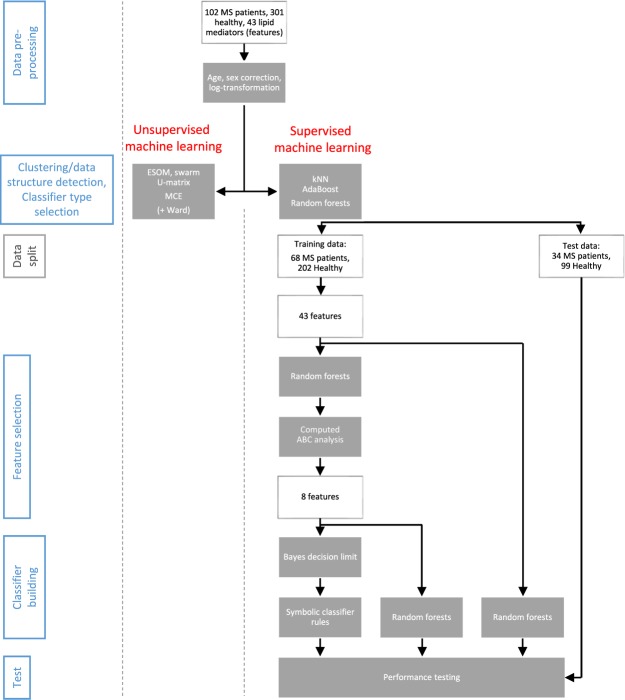 Flow chart of the data analysis. The figure provides an overview on the applied machine-learning approach in three main steps (indicated at the left side: data preprocessing, feature selection and classifier building including testing). The white frames show the variable flow, along with group size information. The grey frames depict the bioinformatics operations applied on the variables. During feature selection, the number of variables qualifying as components of a diagnostic tool respectively classifier was stepwise reduced, forwarding to the next analytical step only those features that had passed the criteria of the actual selection procedure.
