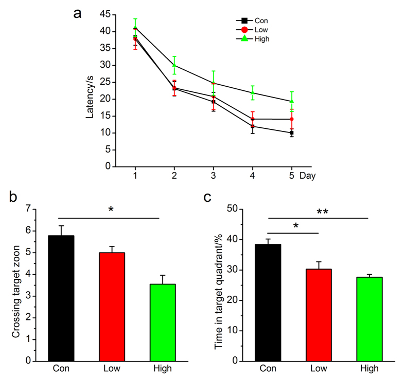 NO2 inhalation deteriorates spatial learning and memory in C57BL/6J mice.(a) Learning curve for 5 days of invisible training to find the hidden platform in the Morris water maze. Retention memory was determined using a probe trial test conducted 24 h after 5 days of training. During the probe test, the platform was removed from the pool. (b) Number of times crossing the target zone. (c) Percentages of time stayed in the target quadrant. C57BL/6J mice were exposed to 2.5 and 5 mg/m3 NO2 for 5 h/day for 4 weeks, and Morris water maze was carried out. The submerged platform was located in the center of one quadrant of the pool. Mice received visible platform training for 3 days followed by 5 days of invisible platform training. Data were expressed as means ± SE (n = 13 to 14 mice/group), *P < 0.05 vs control. Con = control; Low = 2.5 mg/m3 NO2; High = 5 mg/m3 NO2.