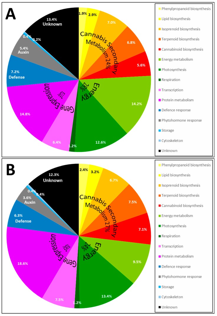 Pie chart of the pathways in which identified Cannabis proteins are involved in and recovered from apical buds (A) and trichomes (B).