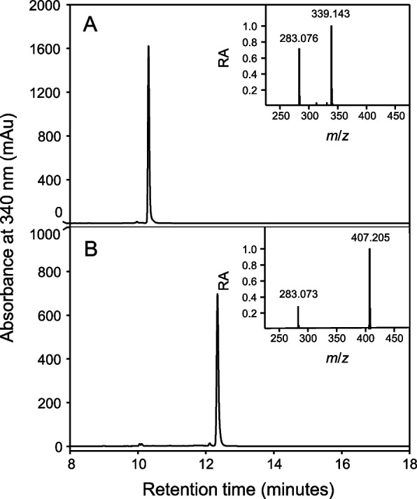 Representative HPLC chromatograms of 6-PA and 6-GA. 6-PA (A) and 6-GA (B) were isolated from a polyphenol-enriched extract of C. sativa. The mass spectra are shown for each compound and depict the mass-to-charge ratios of 6-PA ([M + H]+ 339.143) and 6-GA ([M + H]+ 407.205). Note the in-source fragmentation ions associated with 6-PA (283.076) and 6-GA (283.073)