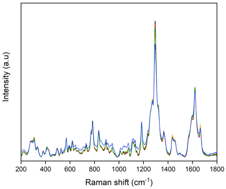 Raman data set highlighting the similarities and differences among the average spectra of the Indica (Black Domina, in black) and Sativa varieties (Amnesia Haze, in red; Amnesia Hy-Pro, in gold, Original Amnesia, in blue; and Y Griega, in green).