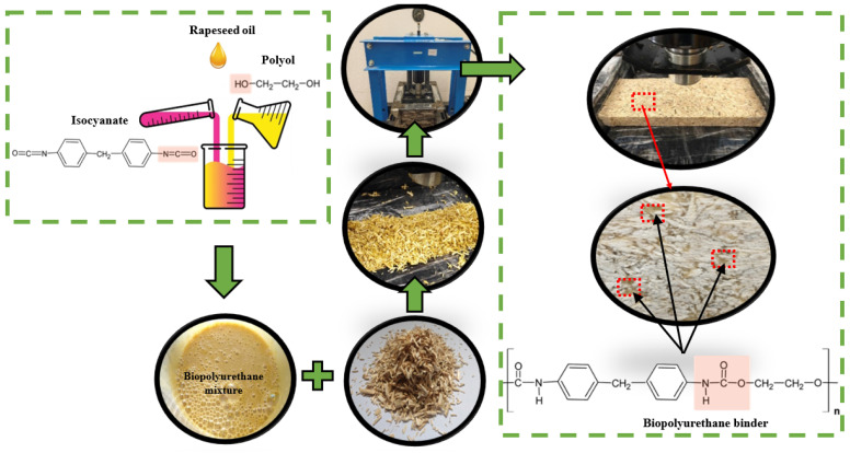 The entire specimen-preparation process.