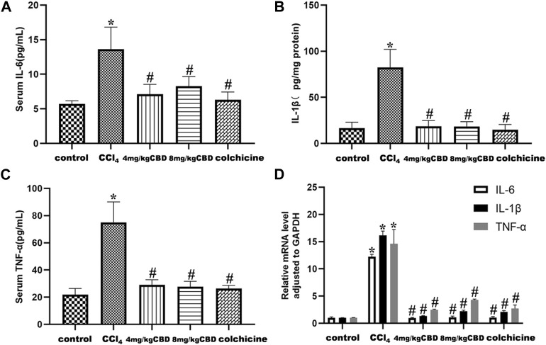 Effects of CBD on inflammatory cytokines in mice with CCl4-induced liver fibrosis. (A–C) Serum levels of IL-6 and TNF-α and liver levels of IL-1β. (D) The mRNA levels of IL-6, IL-1β and TNF-α were measured by q-PCR. The values represent the means ± SEM (n = 8). * p < 0.05 vs. the control group, # p < 0.05 vs. the CCl4 group, as determined by one-way ANOVA, followed by the LSD multiple comparisons test.