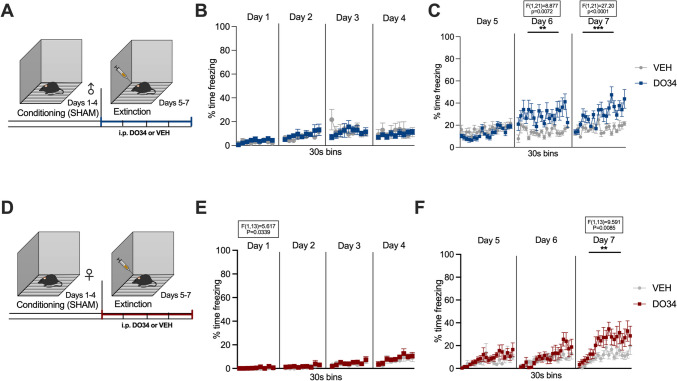 Pharmacological inhibition of DAGL during sham extinction promotes freezing in male and female mice. (A) Schematic diagram of the experimental paradigm in male mice. (B) Percentage of time spent freezing during sham-conditioning sessions. (C) Percentage of time spent freezing during sham extinction when DO34 (50 mg/kg) was injected IP 2 h before trial. (D) Schematic diagram of the experimental paradigm in female mice. (E) Percentage of time spent freezing during sham-conditioning sessions. (F) Percentage of time spent freezing during sham extinction when DO34 (50 mg/kg) was injected IP 2 h before each session. All values are presented as mean ± SEM (n= 10–13 male and 7–8 female mice per condition)