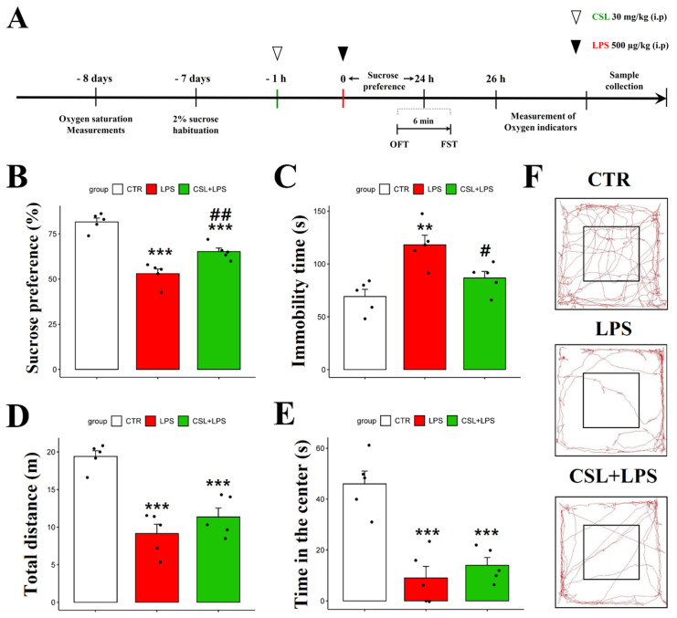 Behavioral effect of Cannabis Sativa L. (CSL) leaf extract administration in the LPS model. The experimental procedure (A), sucrose preference test (B), immobility time in the forced swimming test (C), total distance traveled in the OFT (D), time in the center in the OFT (E), and representative tracks of mice in the OFT (F). The groups were the control group (CTR), the LPS group, and the CSL+LPS group. Results are expressed as mean ± S.D., with individual data points shown as black dots. *, compared with the control group; #, compared with the LPS group. #, p < 0.05; **/##, p < 0.01; ***, p < 0.001 (n = 5 per group).