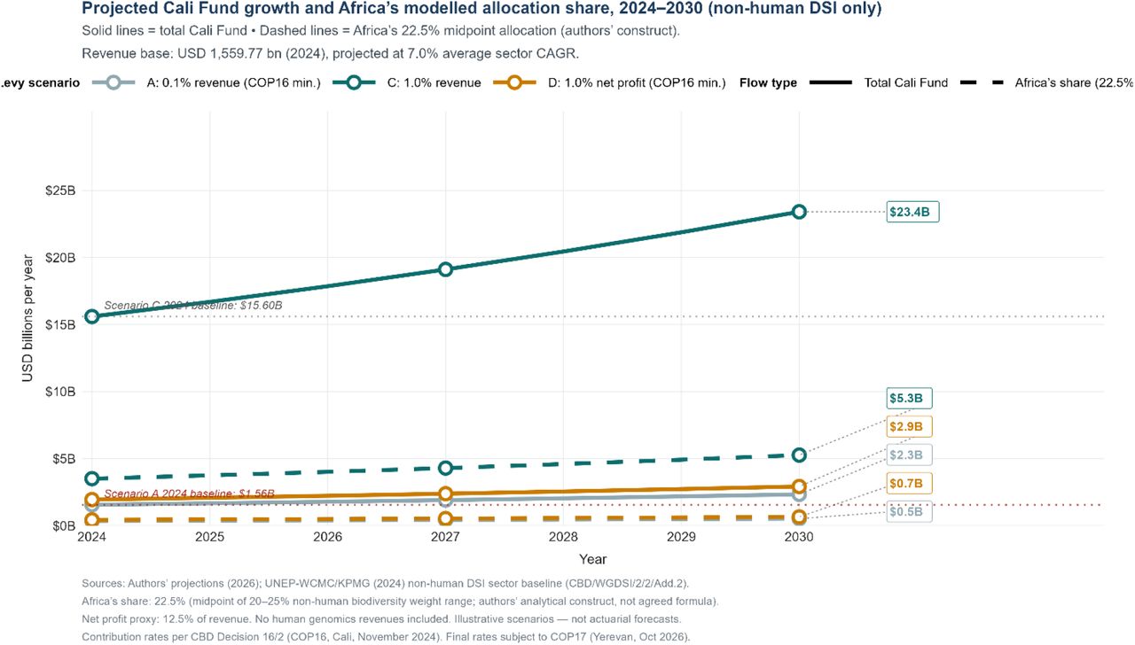 Multi-line projection chart: Cali fund total and Africa modelled allocation share (22.5% midpoint), 2024-2030, under scenarios A,C, and D.
