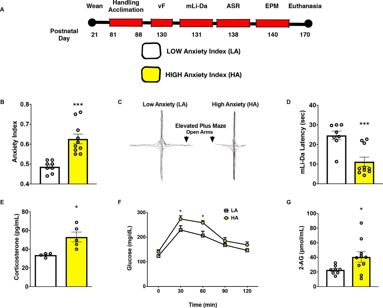 High-anxiety rats exhibit increased open arm avoidance while manifesting disruptions in levels of corticosterone, glucose, and 2-AG.(A) Timeline of the study showing the order of the various behavioral tests performed.(B) Anxiety index of LA and HA rats following k-means clustering. HA rats exhibited higher indices of anxiety in the EPM (29% increase) when compared to LA rats (***p < 0.001).(C) Representative track plot of the elevated plus maze (EPM) for LA and HA rats. These plots highlight that HA rats were avoiding the open arms while spending most of the time in the closed arms of the EPM.(D) Average latency obtained from the modified light-dark box behavioral test for LA and HA rats. HA rats had a significant reduction (54%) in latency (time to exit the aversive light chamber) relative to LA rats (***p < 0.001).(E) Average levels of corticosterone in feces. HA rats exhibited a significant increase (57%) in fecal corticosterone levels when compared to LA (*p < 0.05).(F) Average glucose concentration at baseline, and 30 min, 60 min, 90 min, and 120 min following intraperitoneal glucose tolerance test. HA rats exhibited increased glucose levels at 30 min (20% increase; *p > 0.05) and at 60 min (26% increase; *p < 0.05) when compared to LA rats.(G) Average levels of 2-AG in plasma. HA rats had a significant increase (61%) in circulating levels of 2-AG relative to LA rats (*p < 0.05).