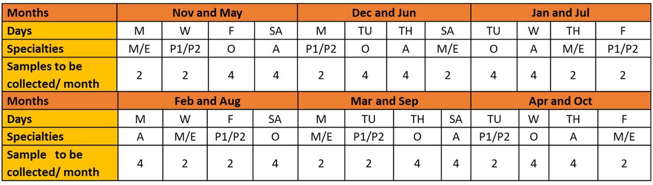 Allocation of sample prescriptions according to patient category, week days and four seasons