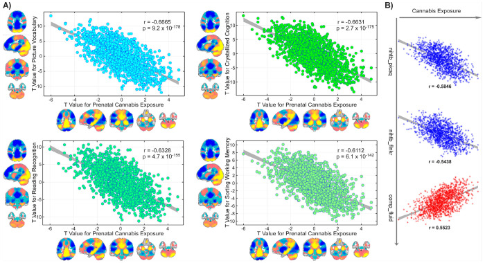 Overlap between prenatal cannabis exposure (PCE)–related functional connectivity alterations and offspring cognitive functioning during late childhood. The correlations between PCE- and National Institutes of Health Toolbox Cognition Battery (NIHTB)-related functional network connectivity (FNC) patterns align with their behavioral relationship.A) Four NIHTB scores for—picture vocabulary, composite crystallized cognition, oral reading recognition, and list sorting working memory—show the strongest negative correspondence in t-statistics with PCE-related FNC alterations (r = −0.6112 to −0.6665, p < 1 × 10−10). Network-level mapping illustrates the spatial convergence of these associations across large-scale brain systems, except for the cerebellum. B) Two additional cognitive measures exhibit negative correlations, whereas one (composite fluid cognition) demonstrates a positive correlation in t-statistics with PCE–related FNC alterations, underscoring the convergent yet directionally distinct connectivity signatures linking PCE to cognitive performance in late childhood.