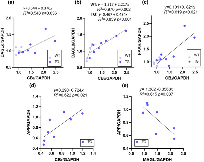Scatter plot of ECS receptors/enzymes and APP levels in individual animals. (a) DAGLα versus CB2, (b) DAGLβ versus CB2, (c) FAAH versus CB2, (d) CB2 versus APP, (e) MAGL versus APP. Data points indicate individual animals; the black line indicates the linear regression line. For abbreviations see the abbreviations list.