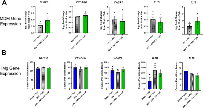 CB2 activation has minimal impact on transcriptional priming of the NLRP3 inflammasome in MDMs and iMg with established HIV infection. (a) NLRP3 inflammasome gene expression in MDMs on DPI 9, determined with qRT-PCR, represented as log2 fold change from Mock + Veh. n = 3 MDM donors. (b) NLRP3 inflammasome gene expression in iMg on DPI 9, determined with bulk RNA-seq. n = 3 iMg lines