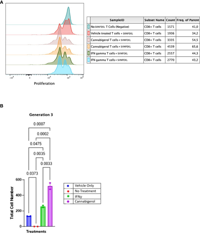 Cannabinoids treated metastatic carcinomas function as antigen presenting cells. (A) We used CD8+ T lymphocytes from SIINFEKL-primed OT1 mice that recognize and respond to SIINFEKL peptide presented on MHC class I of metastatic Murine A9 lung carcinomas. A9 cells were treated with 0.055 μmol of Cannabigerol, or 5.832x10-6 nmol mL of IFN-γ used as a positive control. The negative control is CD8+ T cells alone or untreated A9 cells pulsed with the SIINFEKL peptide from ovalbumin. T cells were labeled with CFSE proliferation dye, which is reduced within the OT1 progeny cells as the generation number increases as an indication of proliferation. (B) Statistical assessment based using the one-way ANOVA with Tukey’s multiple comparison test of CFSE assay demonstrates both cannabinoids and IFN-γ resurrect antigen presentation in metastatic carcinomas. A P value smaller than 0.05 was considered significant. Analysis of the CFSE proliferation carried out at cellular proliferation generation 3 demonstrates that both cannabinoid and IFN-γ treated CFSE contain OT-1 CD8+ T lymphocytes proliferated significantly more than the OT-1 CD8+ T lymphocytes alone or untreated A9 cells pulsed with SIINFEKL.