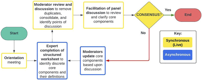 Flowchart depicting a consensus-building process starting with an orientation meeting, followed by moderator and expert reviews, panel discussions, and decision point for consensus, cycling until consensus is achieved; yellow indicates synchronous steps, blue asynchronous.