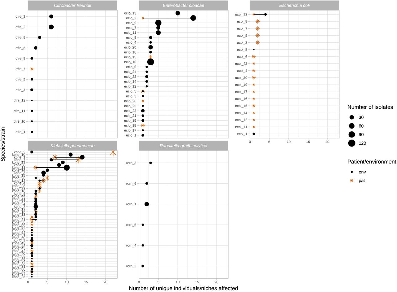 Number of unique patient/environmental niches colonised by common blaKPC-2 Enterobacterales species/strains and the total number of isolates for each cluster.Includes species/strains if >50 isolates of a species were identified [see Methods]). Orange stars denote patient niches, black circles wastewater niches; larger shape size denotes a larger number of isolates sequenced. Strains observed in both niches are either overlapping shapes (same number of niches), or joined by a line (different numbers of niches).